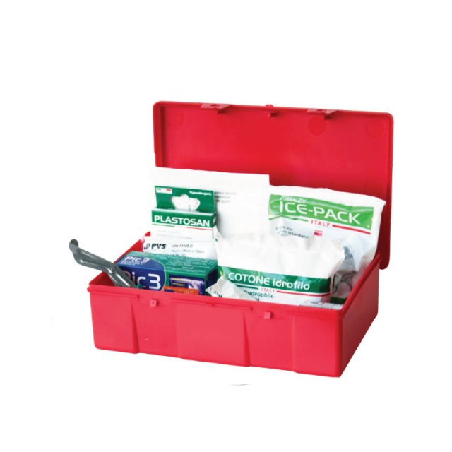CPS291